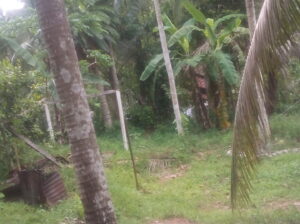 Land for sale in mirigama