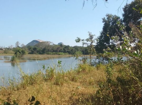 Land for sale in Dambulla near Sigiriya
