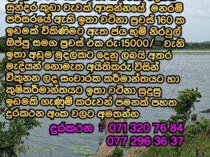 Land for sale in Dambulla near Sigiriya