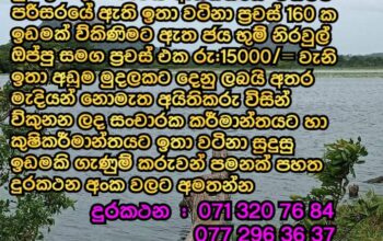 Land for sale in Dambulla near Sigiriya