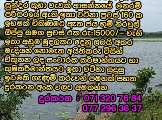 Land for sale in Dambulla near Sigiriya