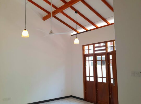 Brand new modern house for sale in Kesbawa, Batuwandara.