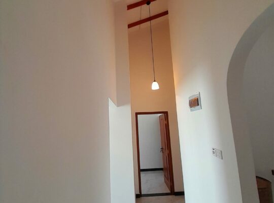Brand new modern house for sale in Kesbawa, Batuwandara.