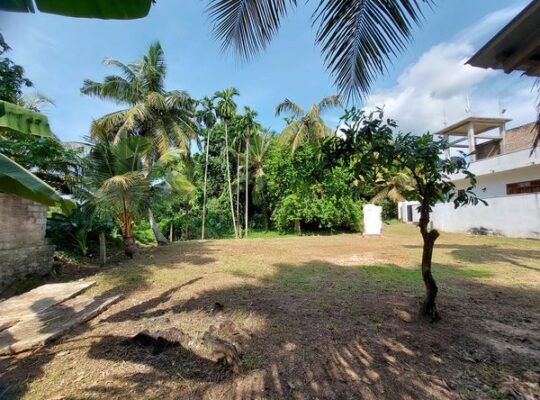 A valuable plot of land for sale in Kiribathgoda.