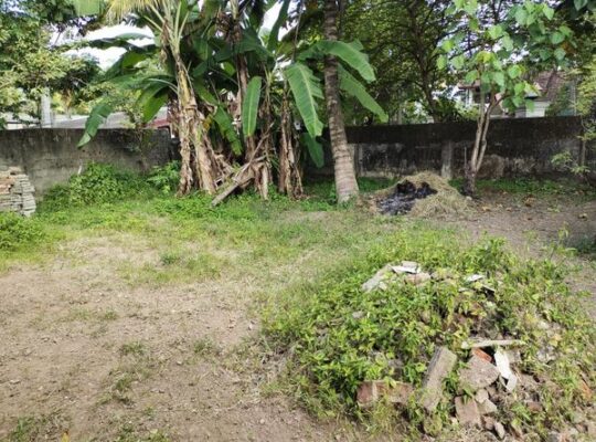 Land for sale in Kottawa