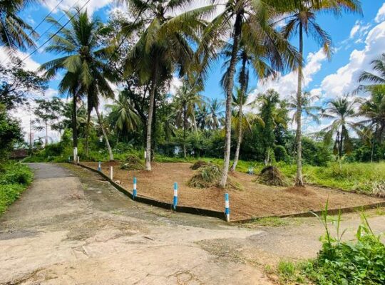 Land for sale in Panagoda