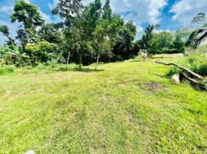 Land for sale in Kottawa