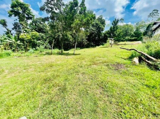 Land for sale in Kottawa
