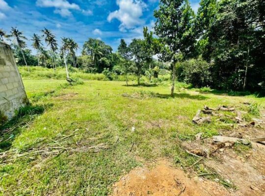 Land for sale in Kottawa