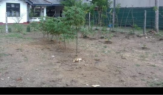 Land sale in Homagama
