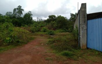 Land for Sale in Panagoda/Homagama