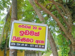 LAND FOR SALE (Urgently)