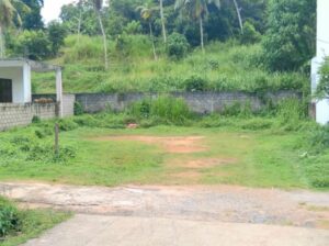 Land for sale in Gampaha