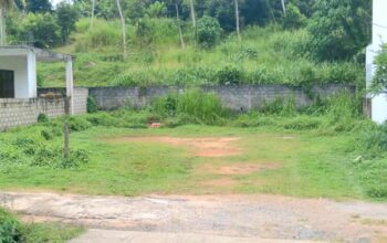 Land for sale in Gampaha