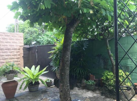 House for Sale Rathmalana