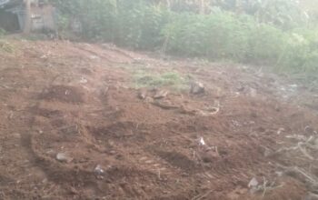 Land for sale in Kurunegala, Saragama