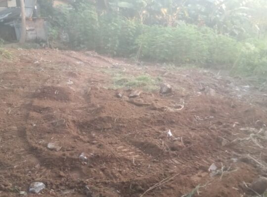 Land for sale in Kurunegala, Saragama