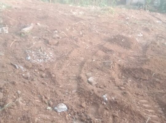 Land for sale in Kurunegala, Saragama