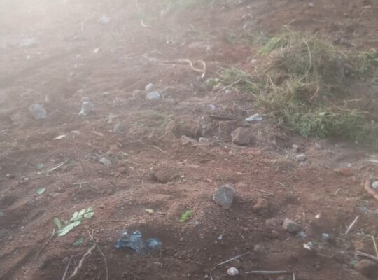 Land for sale in Kurunegala, Saragama