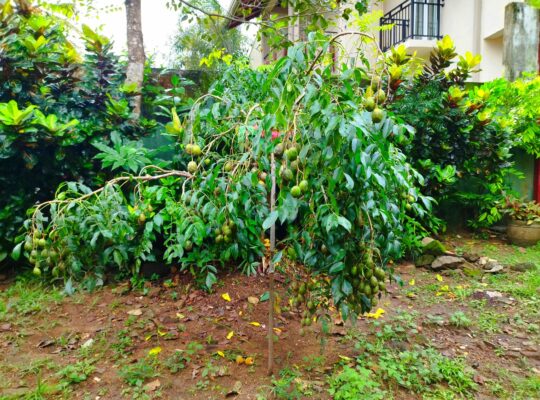House for sale in Kadawatha