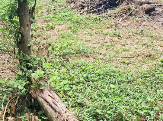 Land for sale in Kalutara