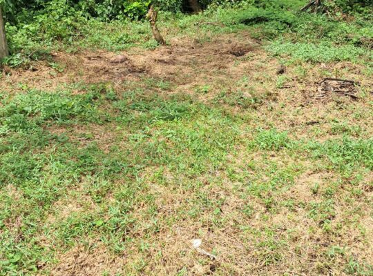Land for sale in Kalutara
