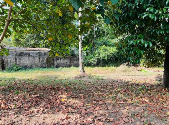 Land for sale in Bandaragama