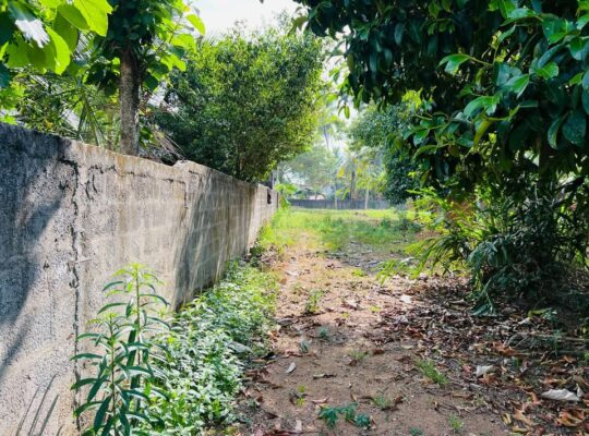 Land for sale in Bandaragama