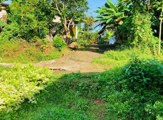 House for sale in Piliyandala