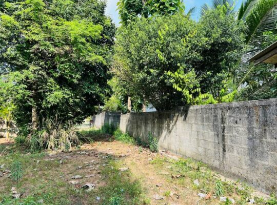 Land for sale in Bandaragama