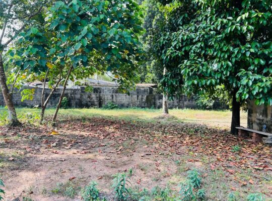 Land for sale in Bandaragama