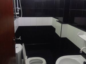 Land for sale with house