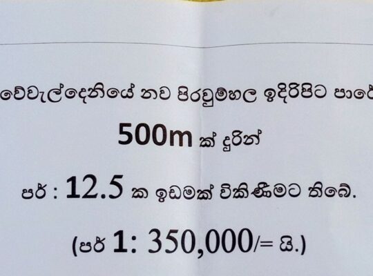 Land for sale in Weweldeniya Kandy road