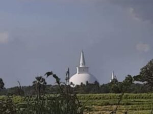 Bare land for sale in Anuradhapura