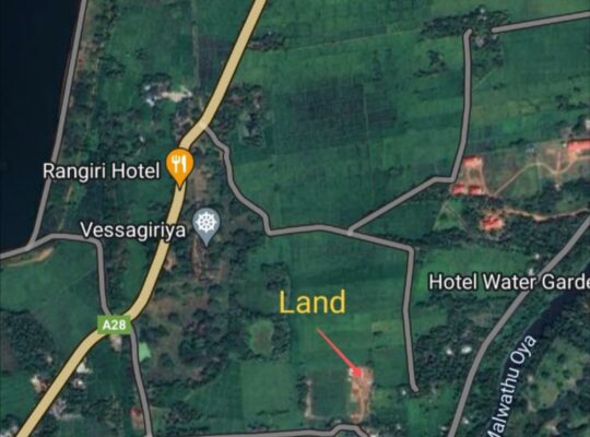 Bare land for sale in Anuradhapura