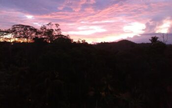 Land for Sale in weligama penatiyama