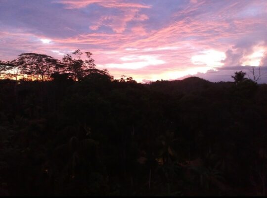 Land for Sale in weligama penatiyama