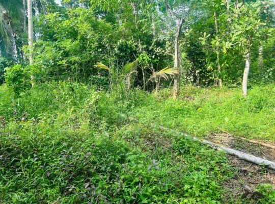 Land for sale in Horana