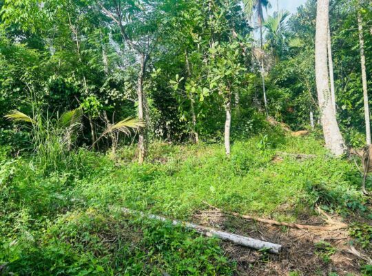 Land for sale in Horana