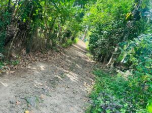 Land for sale in Horana