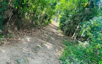 Land for sale in Horana