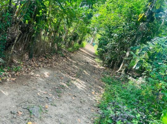 Land for sale in Horana