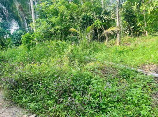 Land for sale in Horana