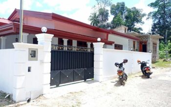 House for sale in Homagama