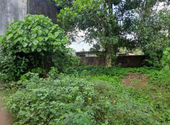 Land for sale in Homagama