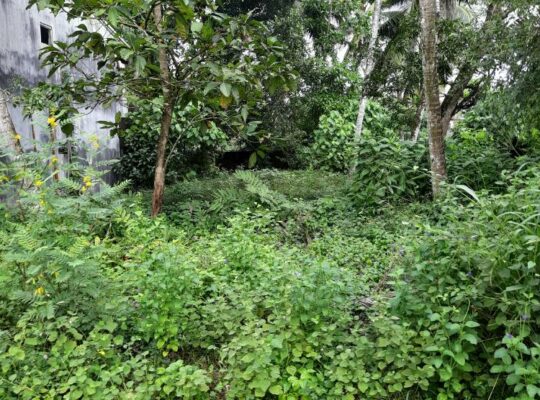 Land for sale in Homagama