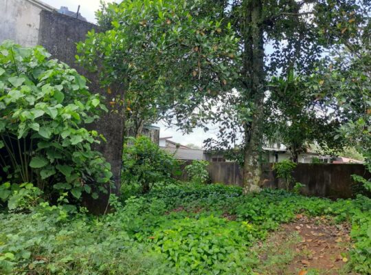 Land for sale in Homagama