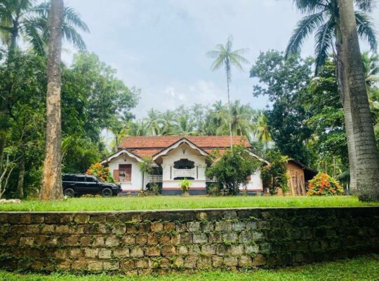 well-cultivated land with Walawwa-style house for sale in Nittambuwa