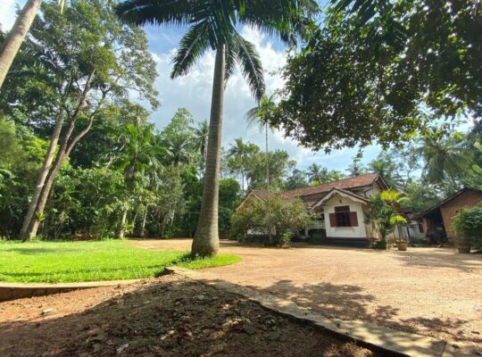 well-cultivated land with Walawwa-style house for sale in Nittambuwa