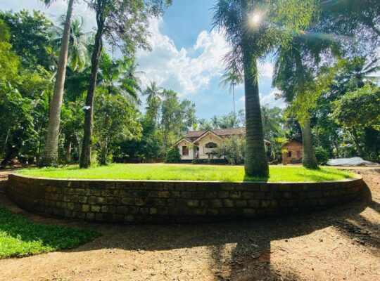 well-cultivated land with Walawwa-style house for sale in Nittambuwa